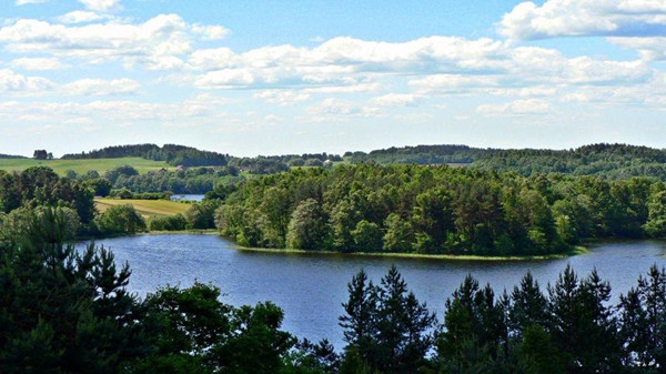 1600330840776465.jpg 2020_0912_a0ee59fbj00qgiy7q003dd000s600fup.jpg